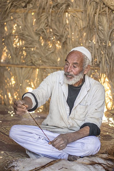 Egyptian Palm Leaf Weaver